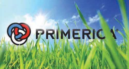 Primerica Reviews